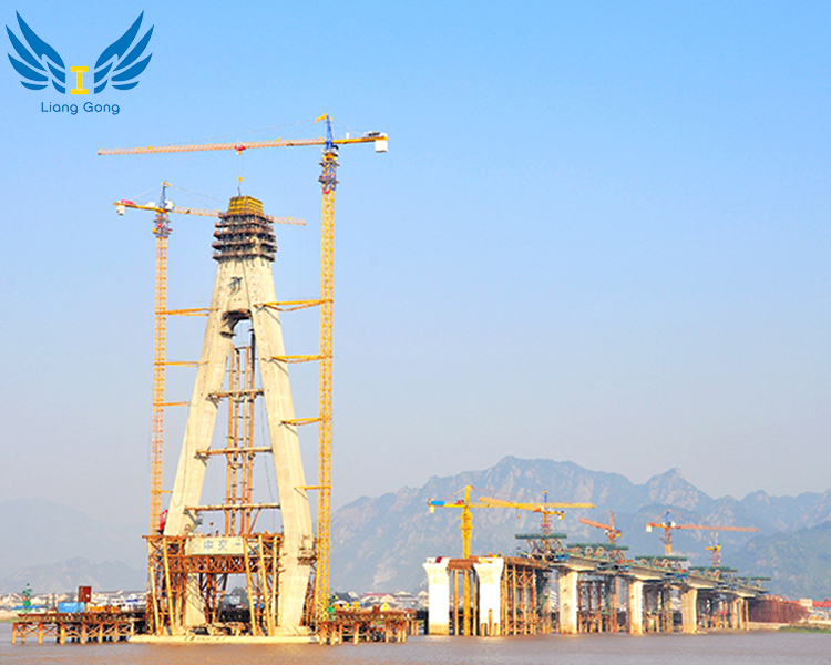 مشاريع الجسور